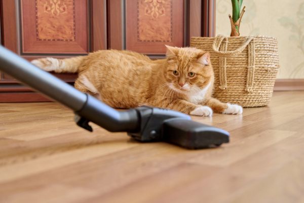 best vacuum cleaners for pet hair
